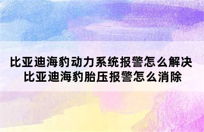 比亚迪海豹动力系统报警怎么解决 比亚迪海豹胎压报警怎么消除